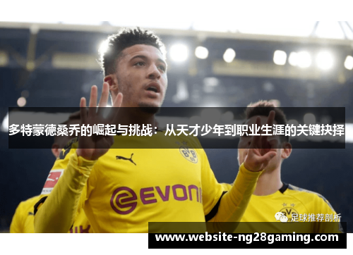 多特蒙德桑乔的崛起与挑战：从天才少年到职业生涯的关键抉择