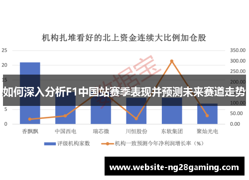 如何深入分析F1中国站赛季表现并预测未来赛道走势