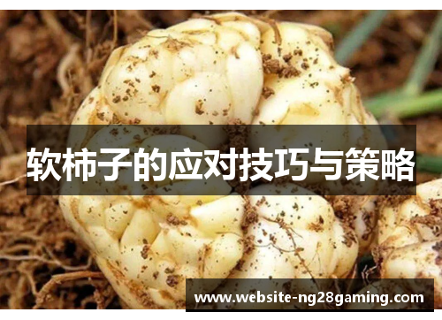 软柿子的应对技巧与策略