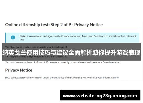纳英戈兰使用技巧与建议全面解析助你提升游戏表现