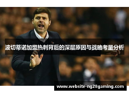 波切蒂诺加盟热刺背后的深层原因与战略考量分析