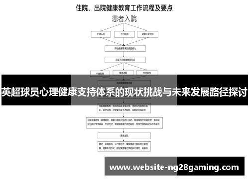 英超球员心理健康支持体系的现状挑战与未来发展路径探讨
