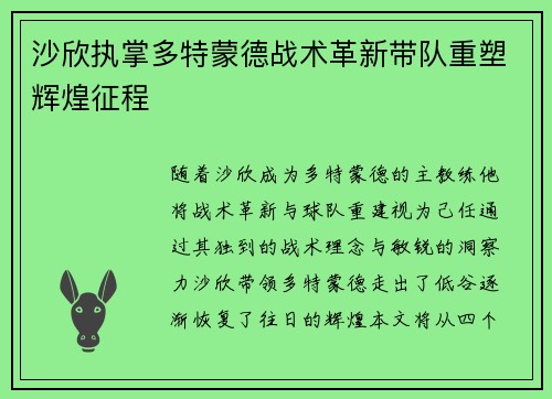 沙欣执掌多特蒙德战术革新带队重塑辉煌征程